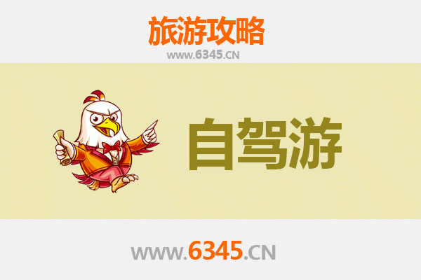 徐州邳州家庭自驾游攻略：探索银杏时光隧道与运河风情