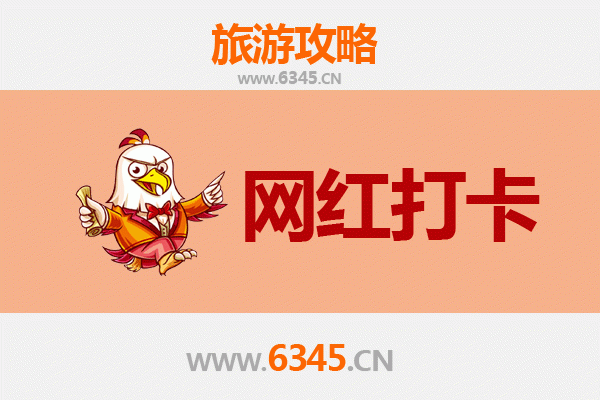 邳州网红打卡地全攻略：银杏时光隧道与艾山胜境，邂逅秋日童话世界