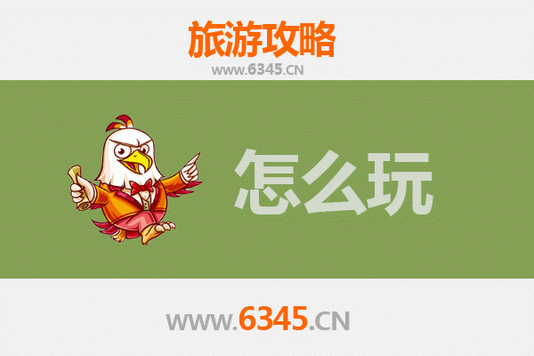 邳州假日漫游指南：银杏时光隧道与艾山胜境的全景攻略