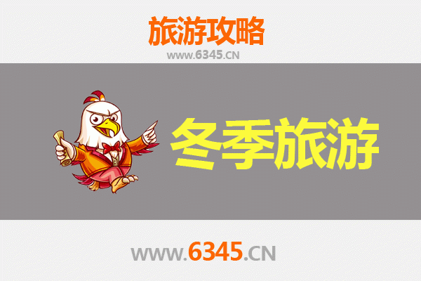 邳州冬季旅游攻略：银杏时光隧道与艾山雪景的浪漫邂逅